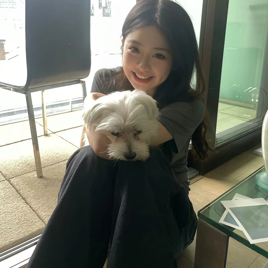 海莲娜的记忆