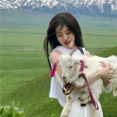 爱情公寓5